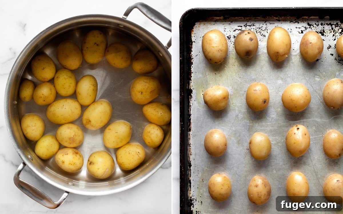 Crispy Smashed Potatoes 5 Boiled potatoes arranged on a baking sheet before smashing.