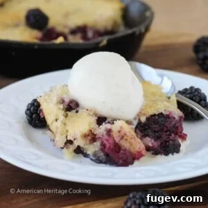 Old Fashioned Blackberry Buckle with a sweet cakey topping