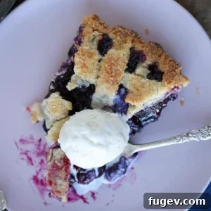 A slice of blueberry pie with a golden lattice top and a scoop of vanilla ice cream
