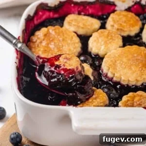 Shiny blueberry cobbler filling with shortcake on a spoon
