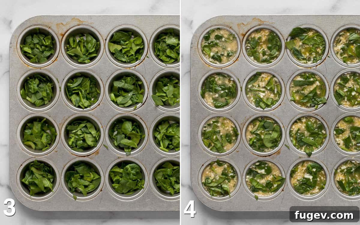Savory Spinach & Parmesan Frittata Bites 5 A two-part image showing, first, chopped spinach neatly placed in a mini muffin pan, and second, the whisked egg mixture being poured over the spinach into each muffin cup.