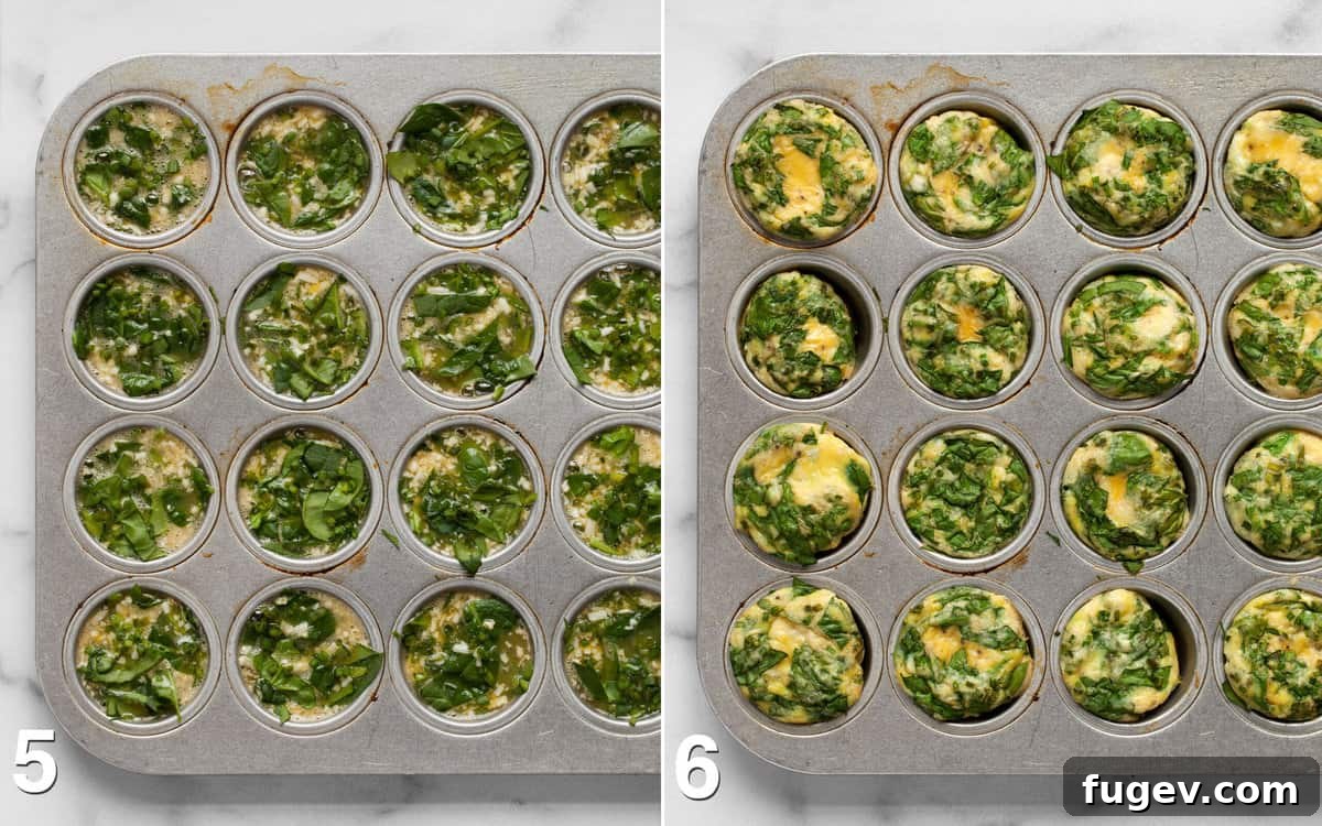Savory Spinach & Parmesan Frittata Bites 6 A side-by-side comparison of mini frittatas in a muffin pan, showing them before baking (raw egg and spinach) and after baking (golden and puffed).