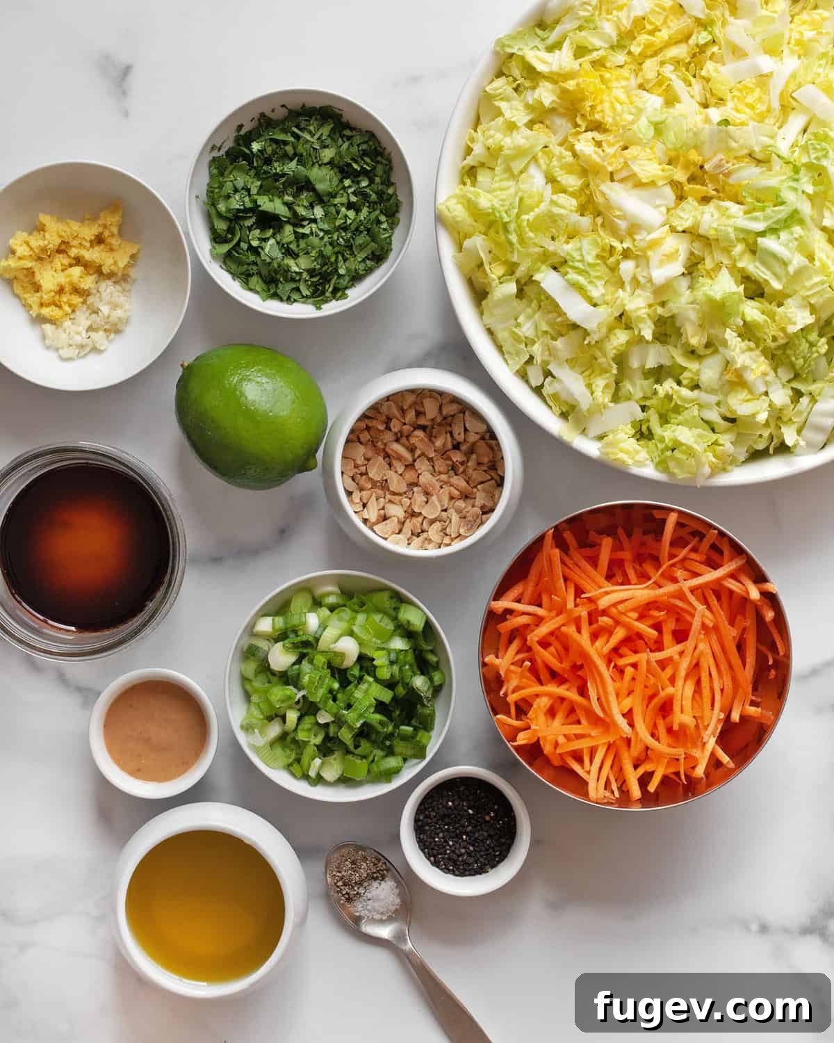 Crisp Napa Cabbage Slaw 3 A vibrant flat lay of fresh ingredients for Napa Cabbage Salad and peanut ginger dressing, including napa cabbage, shredded carrots, scallions, cilantro, roasted peanuts, sesame seeds, peanut butter, lime, ginger, garlic, soy sauce, and oil.
