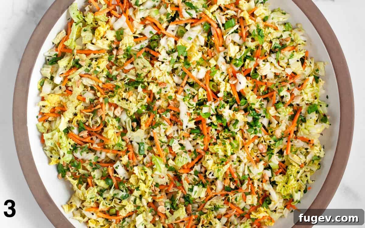 Crisp Napa Cabbage Slaw 5 The Napa cabbage salad tossed with the creamy peanut ginger dressing, beautifully mixed and ready to serve.