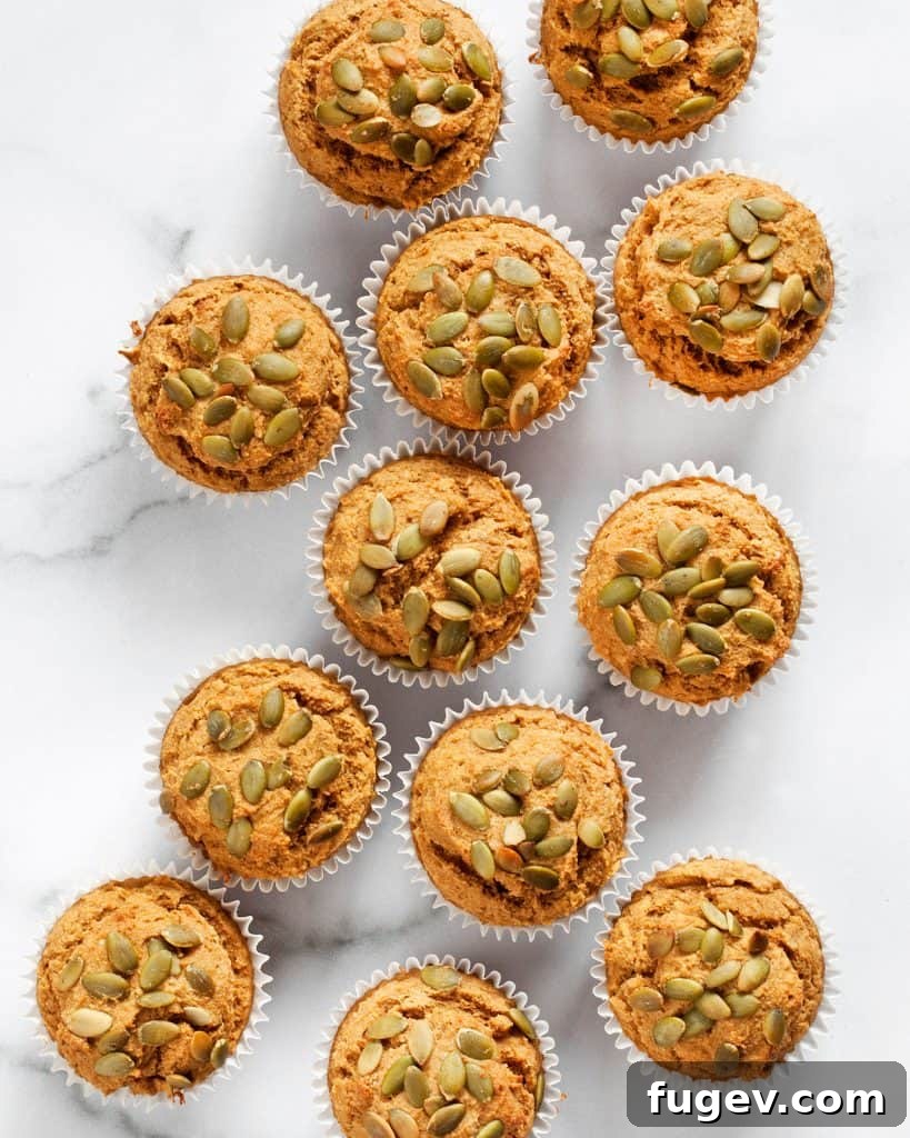 Golden Pumpkin Muffins 3 Close-up of freshly baked healthy pumpkin muffins with pepitas