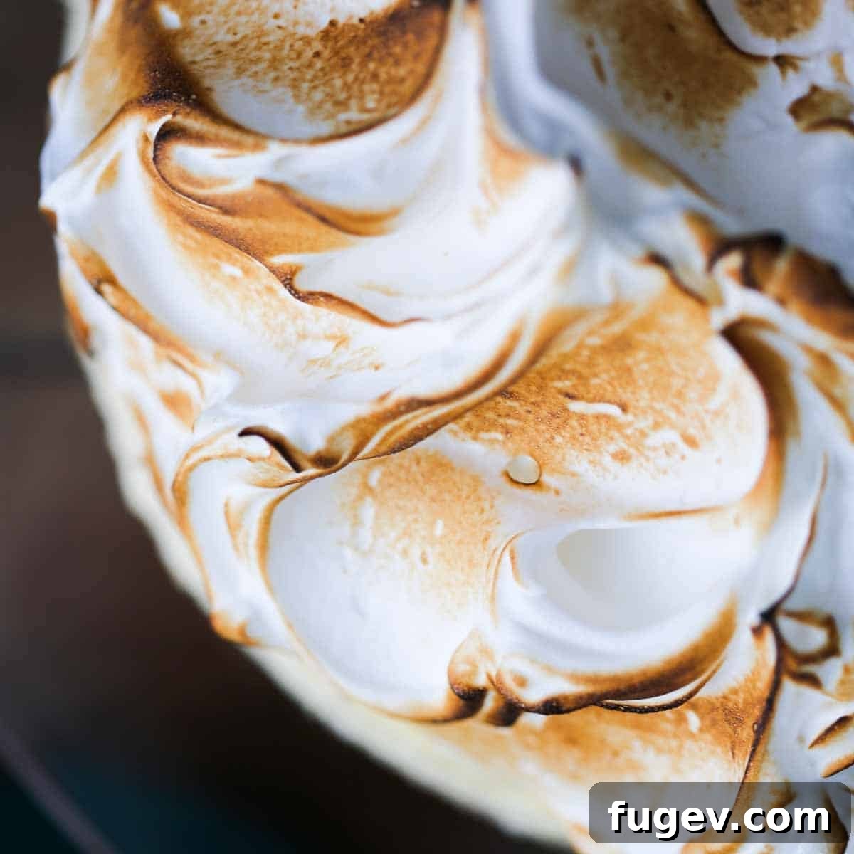 Pillowy Marshmallow Perfection 9 Toasted swooshes of meringue, displaying beautiful caramelization and texture.