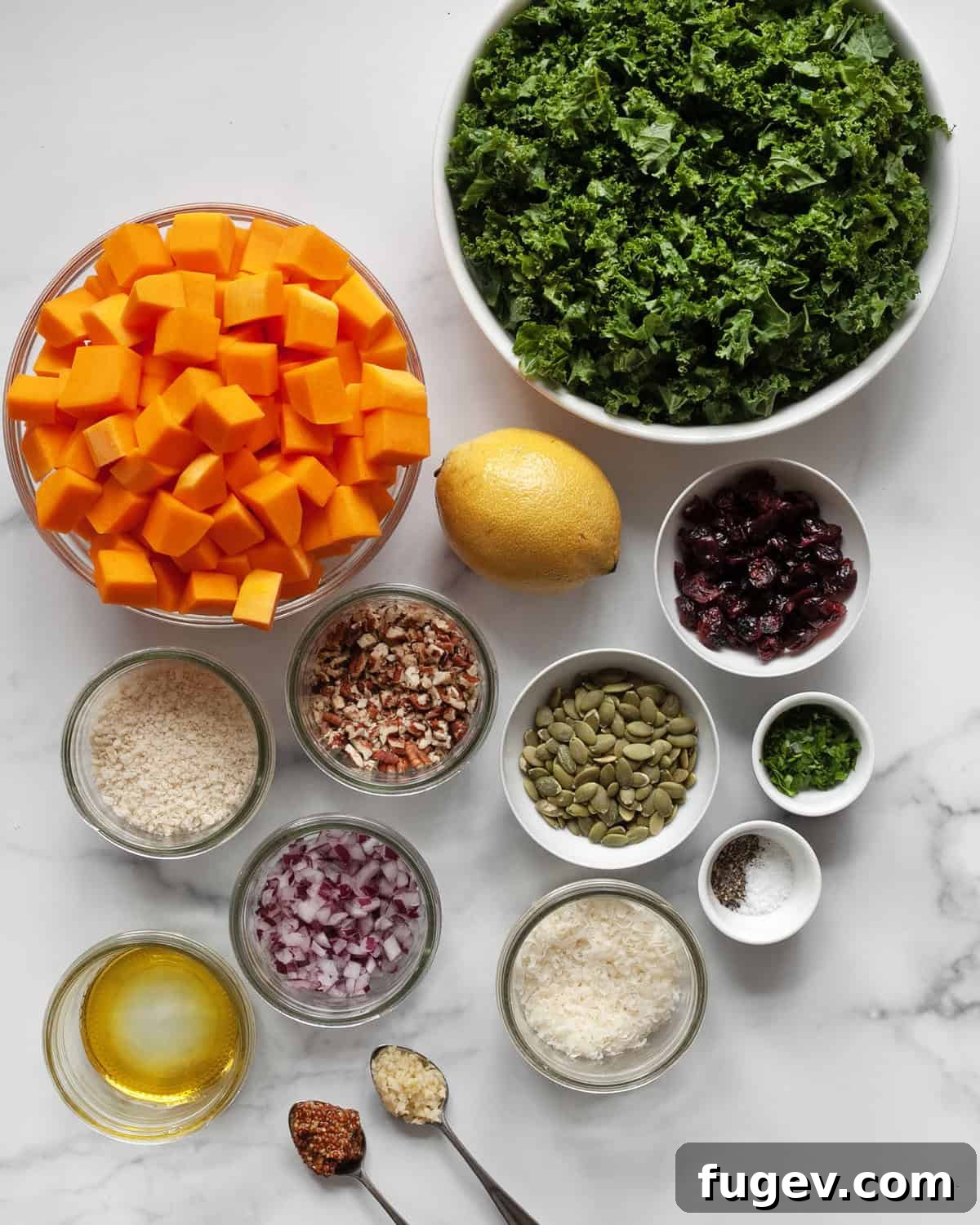 Harvest Roasted Butternut Squash Salad 3 A collection of fresh ingredients laid out, including vibrant green kale, whole butternut squash, bright lemon, red dried cranberries, thinly sliced red onions, pumpkin seeds, grated parmesan, a bottle of olive oil, chopped pecans, panko breadcrumbs, a dollop of mustard, and garlic cloves.