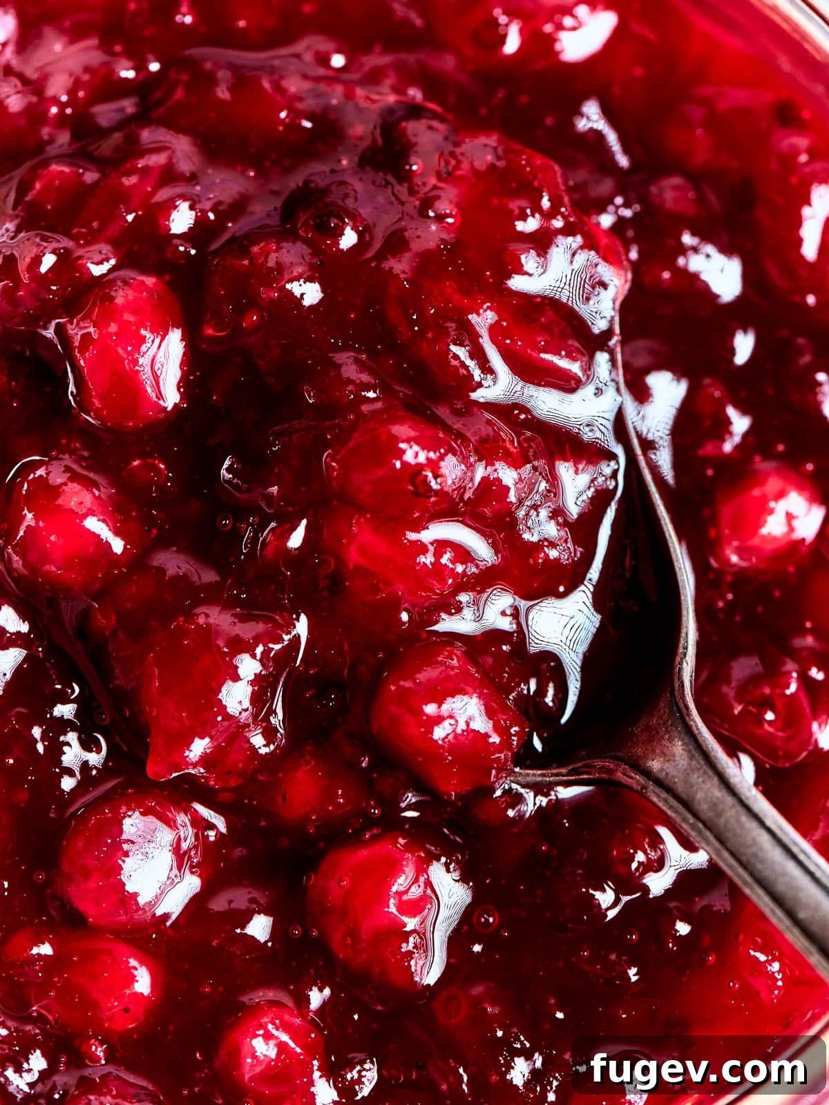 Holiday Cranberry Jewel 2 Close view of homemade cranberry sauce revealing its rich, jam-like consistency and deep red color, garnished with a cinnamon stick and star anise.