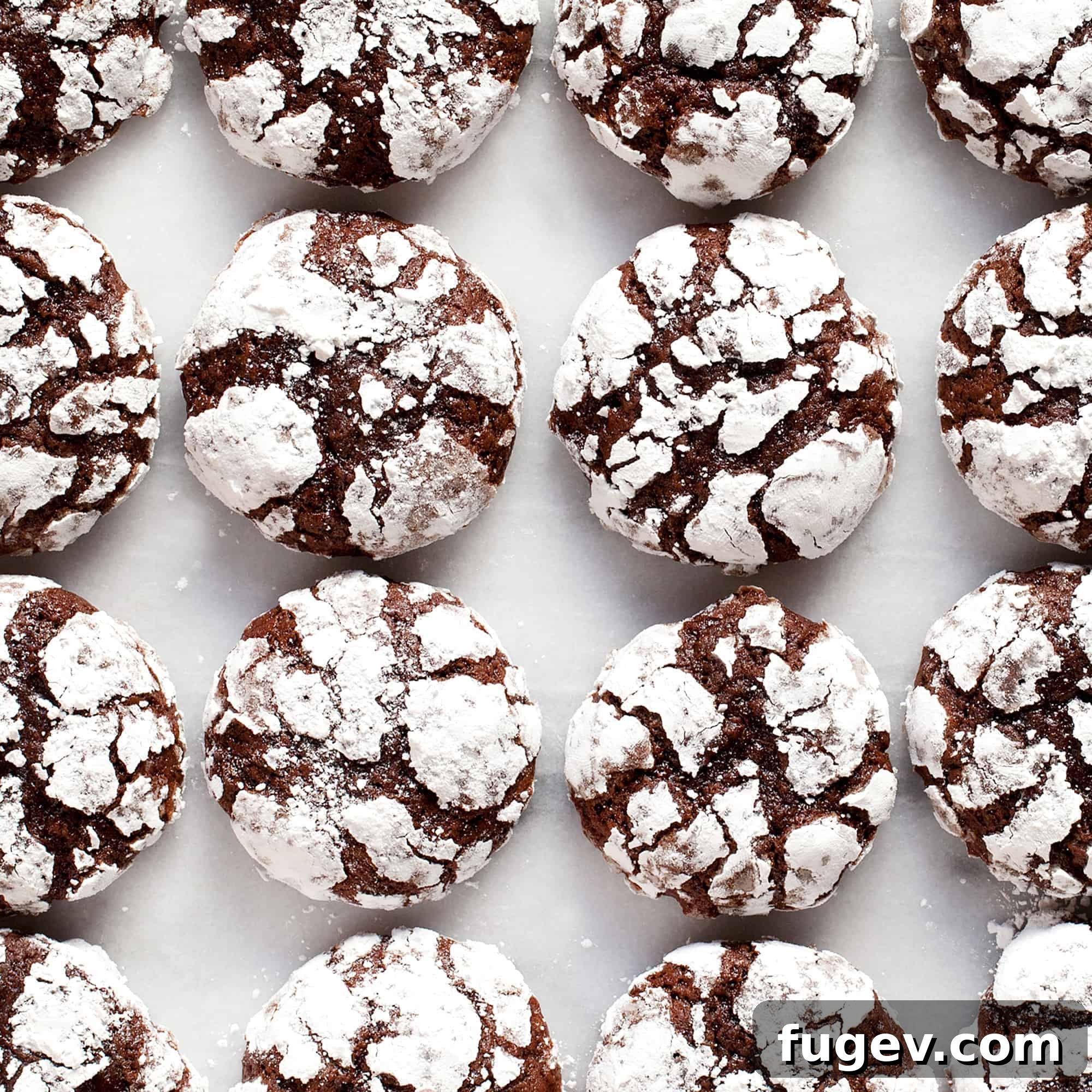 Fudgy Crinkle Delights 2 Rows of crinkle cookies lined up, covered in powdered sugar.
