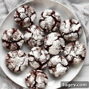 Fudgy Crinkle Delights 9 Chocolate cookies on a plate.
