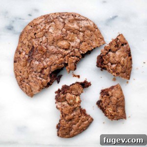 Double Chocolate Cookies