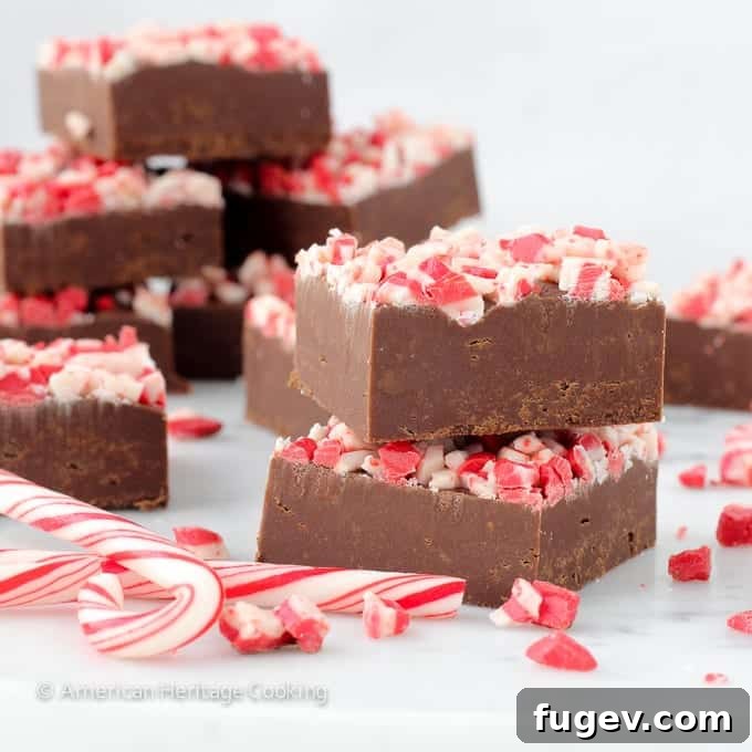 Effortless Dark Chocolate Peppermint Fudge Delight 5 A hand holding a piece of Dark Chocolate Peppermint Fudge, highlighting its thick, enticing appearance.