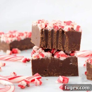 Effortless Dark Chocolate Peppermint Fudge Delight 6 A circular close-up of the Easy Dark Chocolate Peppermint Fudge, focusing on the texture and toppings.