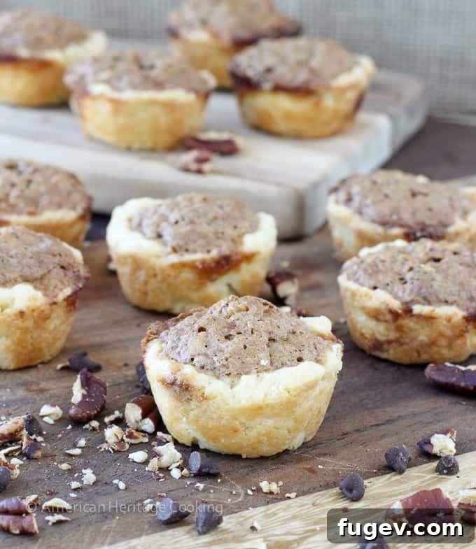 Decadent Chocolate Pecan Bites 3 Close-up of a batch of freshly baked Chocolate Pecan Tassies, showcasing their golden crusts and rich filling.