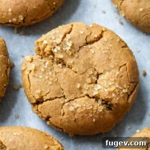 sparkling spice cookie.