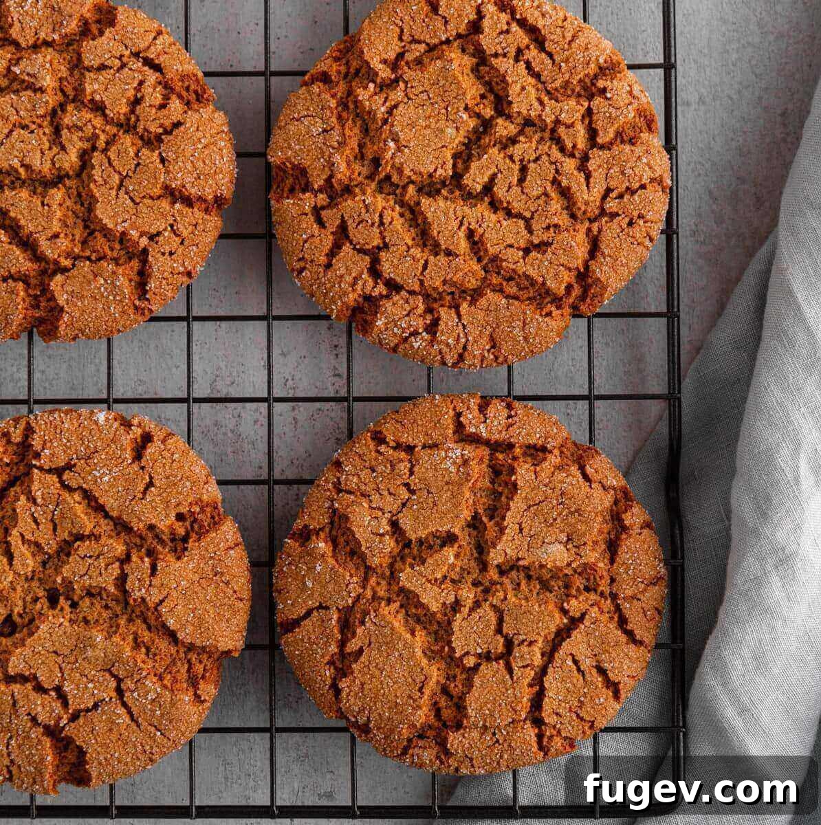 25 Deliciously Simple Christmas Cookies 10 easy hot toddy molasses cookies on wire rack.