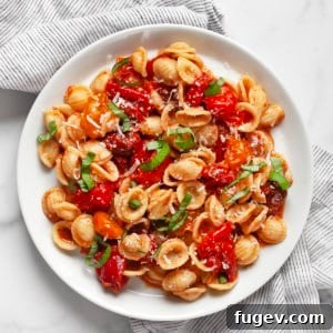 Rustic Roasted Tomato Pasta 8 Roasted tomato pasta on a plate.