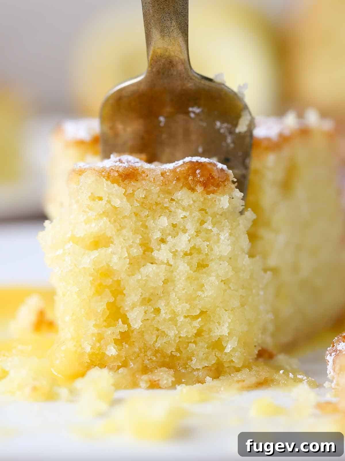 Zesty Mediterranean Olive Oil Cake 2 close up of lemon olive oil cake on gold fork.