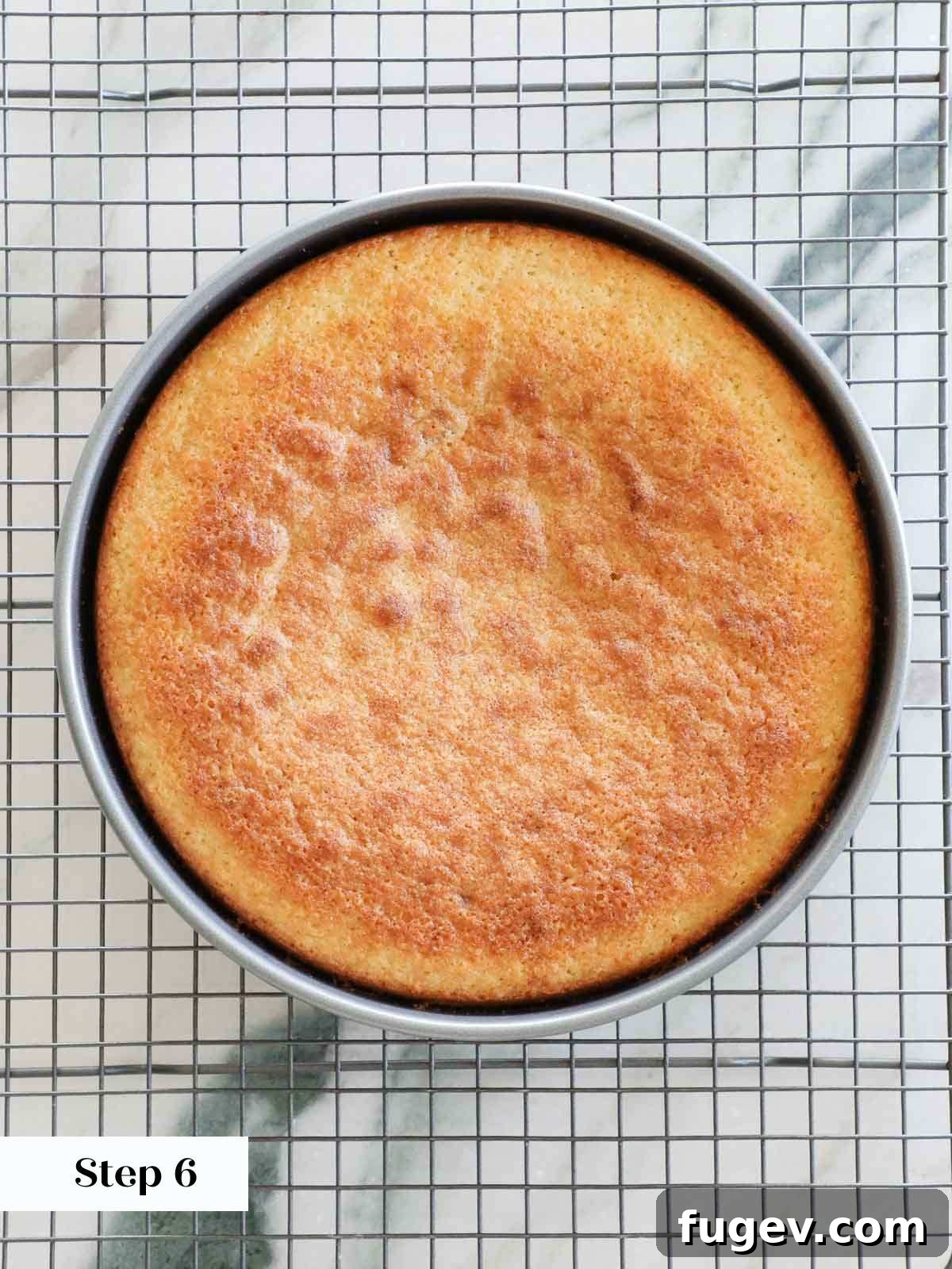 Zesty Mediterranean Olive Oil Cake 10 baked olive oil cake.