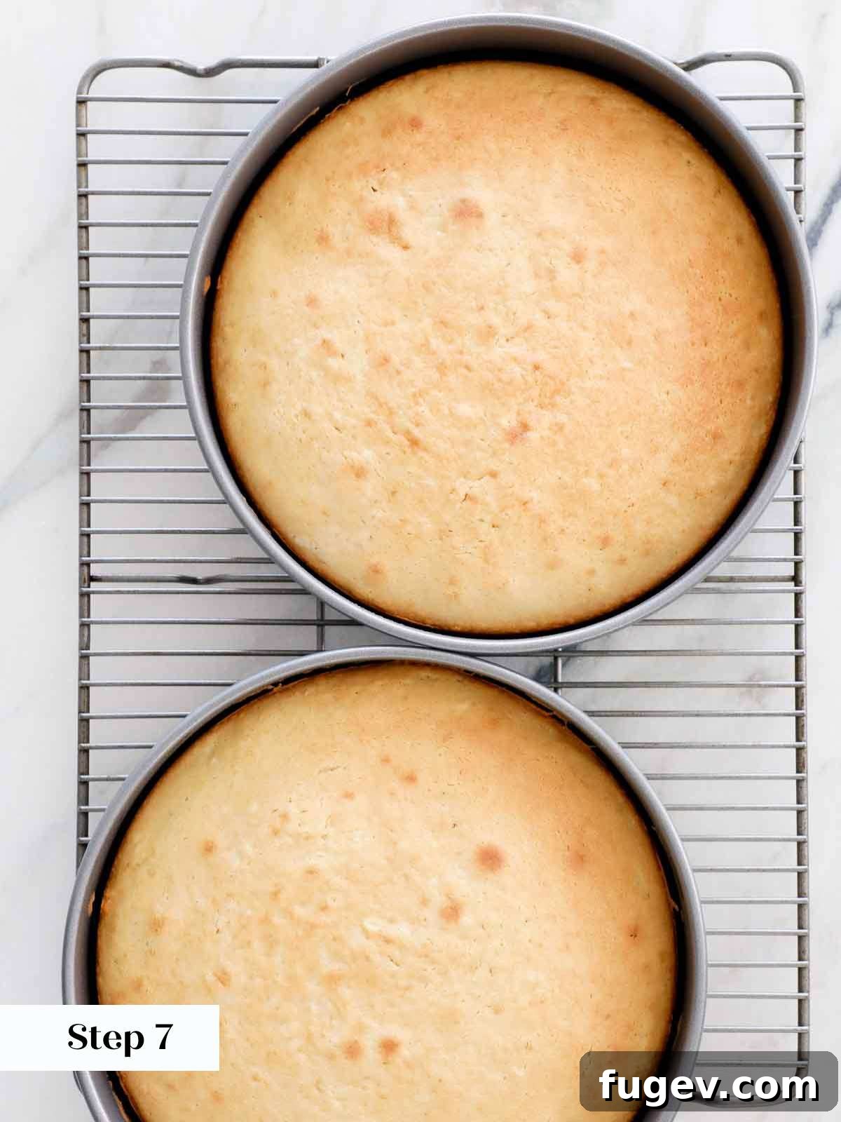 Velvet Vanilla Cake Recipe 16 Golden brown, perfectly baked vanilla cake layers fresh from the oven.