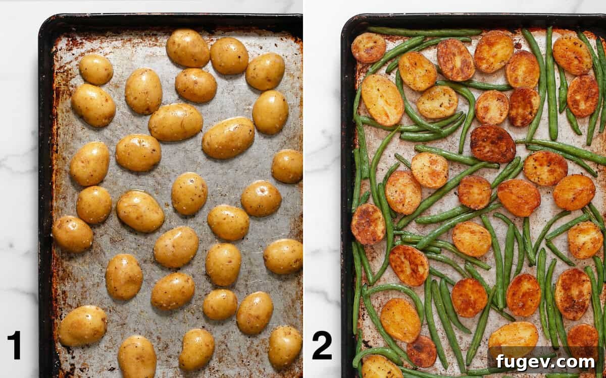 Rustic Roasted Potato and Green Bean Salad 4 Two images side-by-side: first showing raw halved potatoes seasoned on a sheet pan, and second showing perfectly roasted potatoes and green beans on the same pan, golden and blistered.