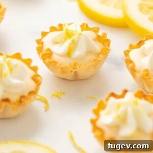 Mini lemon tarts elegantly presented with fresh lemon slices, highlighting their delicate size.