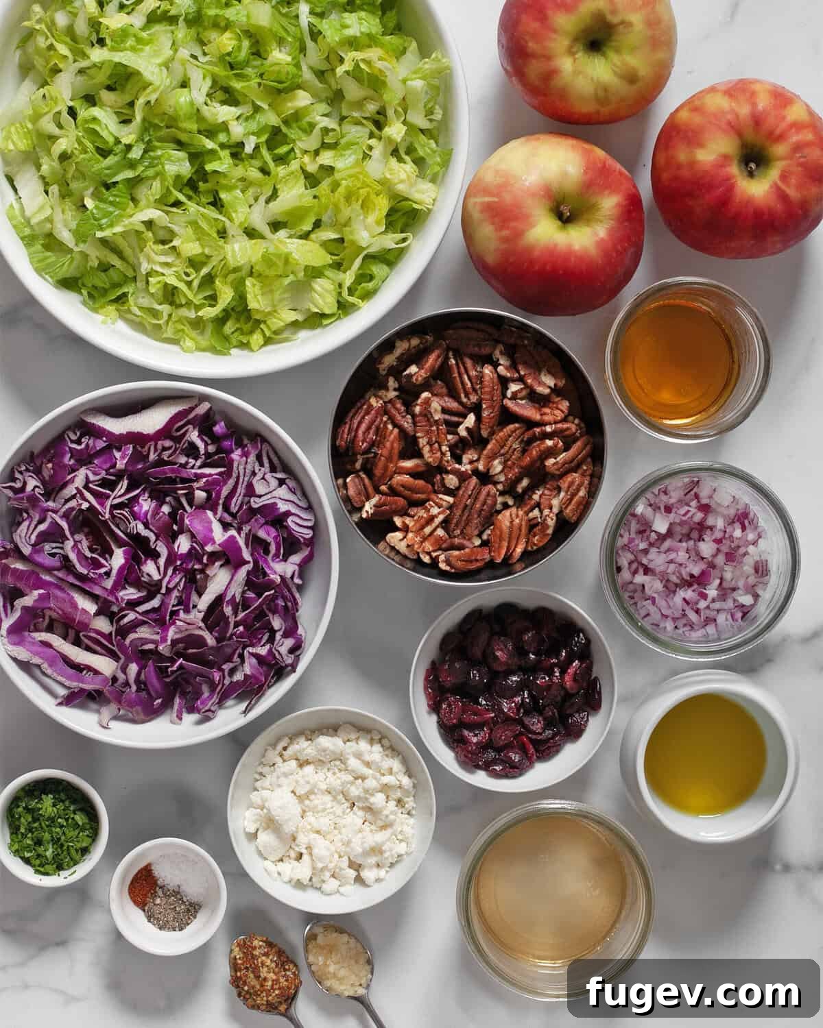 Crisp Apple Pecan Salad 3 Ingredients including romaine, cabbage, apples, pecans, crumbled goat cheese, parsley, apple cider vinegar, olive oil, mustard, red onions, garlic, salt, pepper and dried cranberries.
