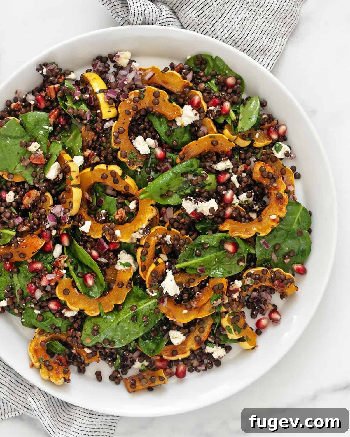 Autumn Delicata Lentil Harvest 2 Roasted delicata squash salad on a plate, garnished with fresh herbs and pomegranate seeds.