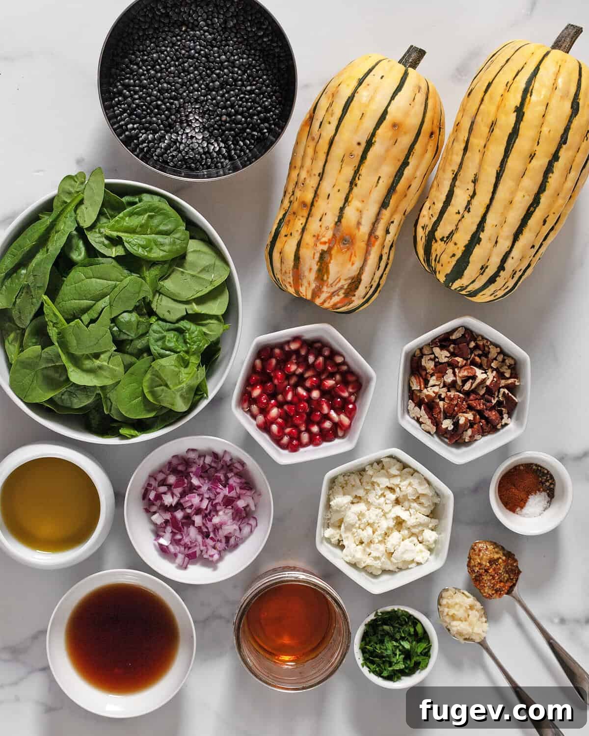 Autumn Delicata Lentil Harvest 3 A vibrant display of fresh ingredients for the delicata squash and lentil salad, including squash, lentils, spinach, pecans, pomegranate seeds, red onions, spices, sherry vinegar, olive oil, lemon, and goat cheese.