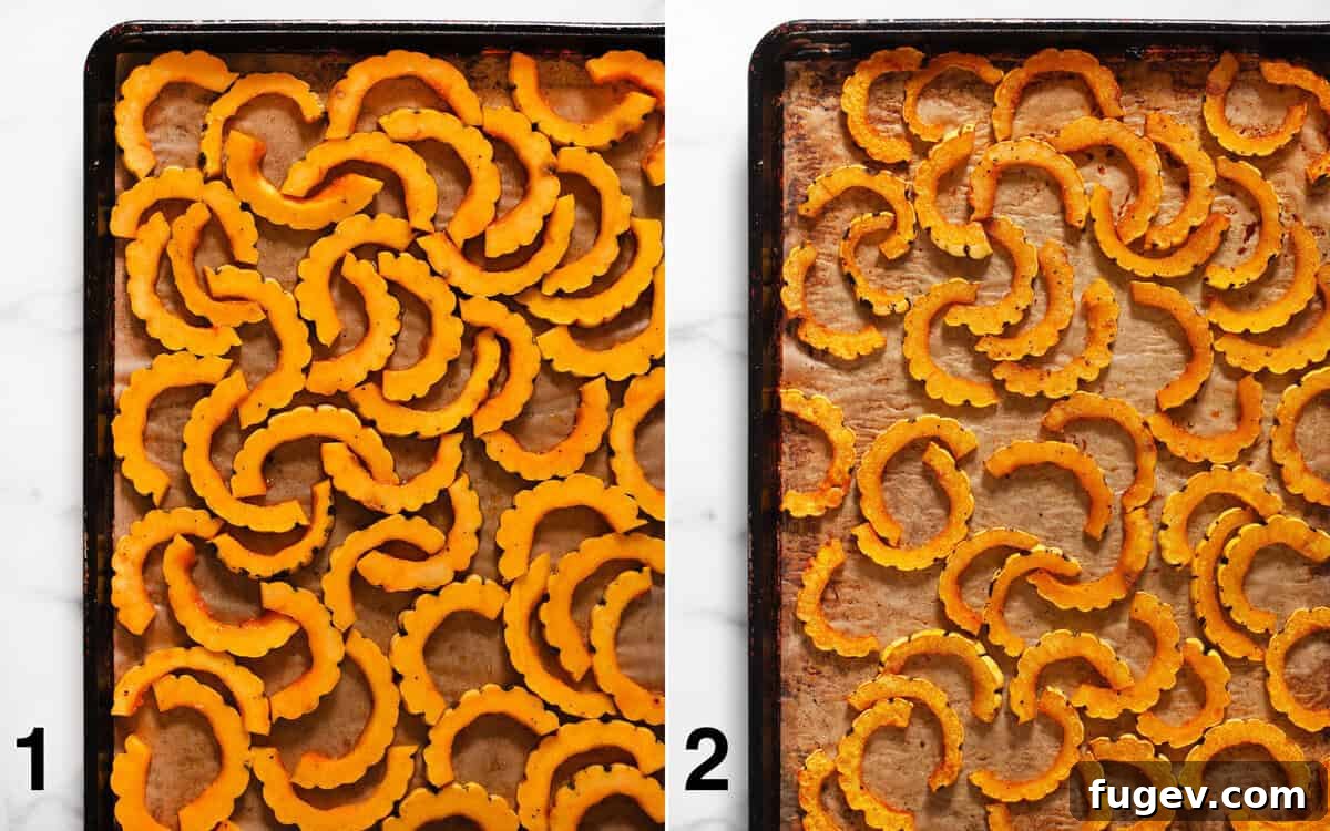 Autumn Delicata Lentil Harvest 4 Delicata squash on a sheet pan, showing stages before and after roasting to a golden perfection.