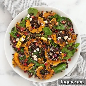 Autumn Delicata Lentil Harvest 8 Roasted delicata squash salad on a plate.