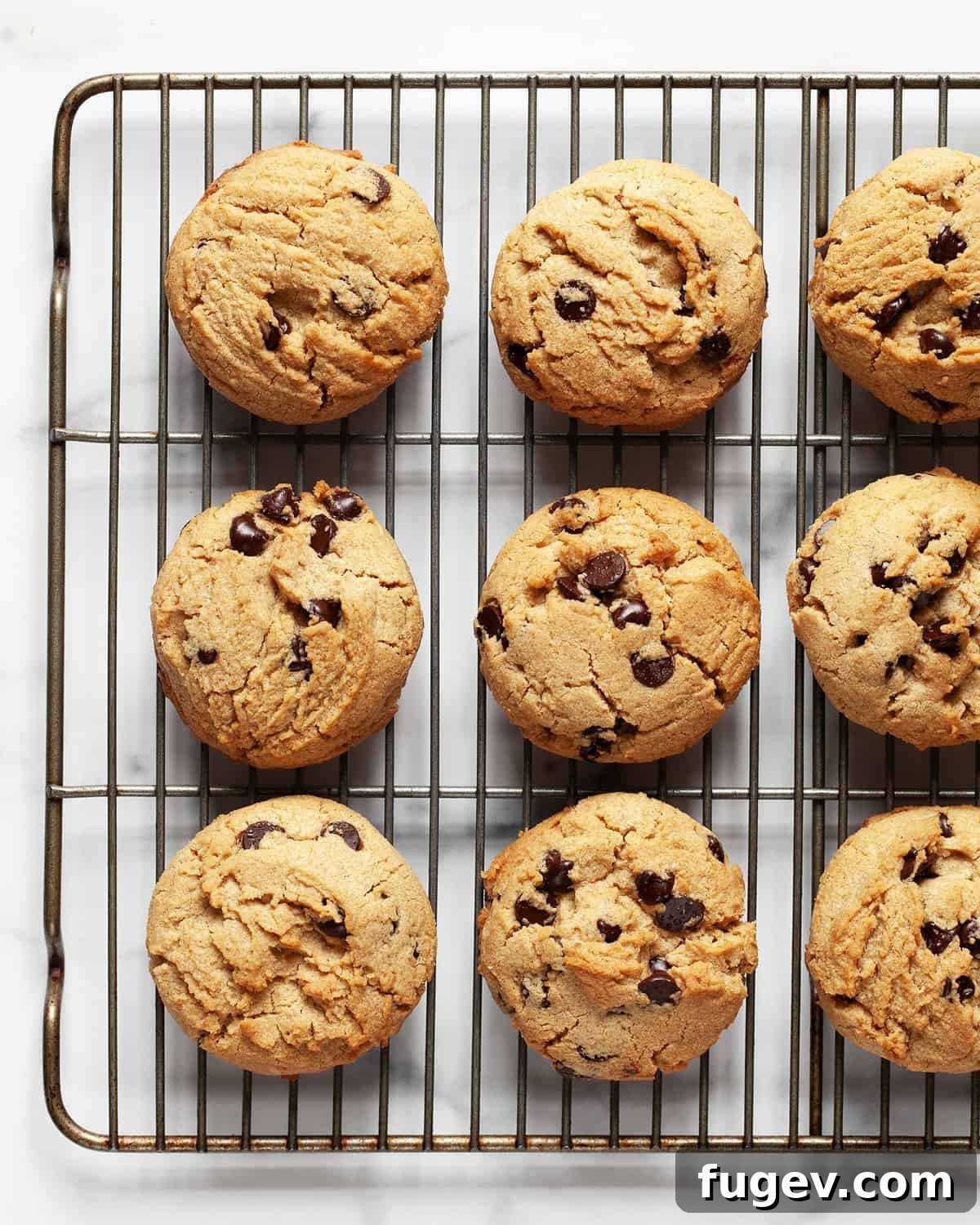 Chewy Chocolate Chip Peanut Butter Cookies 8 Rows of freshly baked chocolate chip peanut butter cookies, with melted chocolate visible, neatly arranged on a cooling rack.