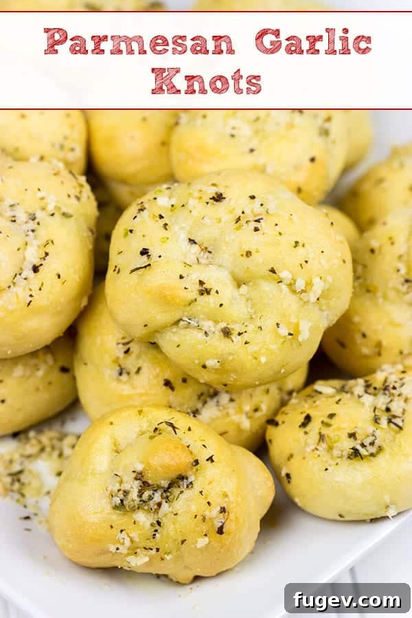 Savory Garlic Parmesan Bites 6 These Parmesan Garlic Knots are an easy, addicting appetizer! Soft homemade pizza dough is brushed with butter and sprinkled with garlic and Parmesan cheese! A perfect recipe for Game Day or any party!