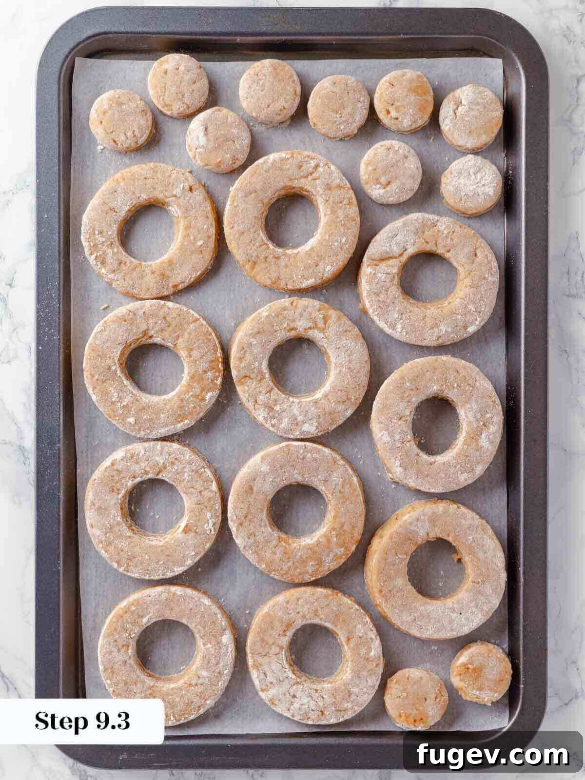 Harvest Apple Cider Donuts 17 Unfried, cut donut circles and holes neatly arranged on a parchment-lined baking sheet, ready for their final chill.