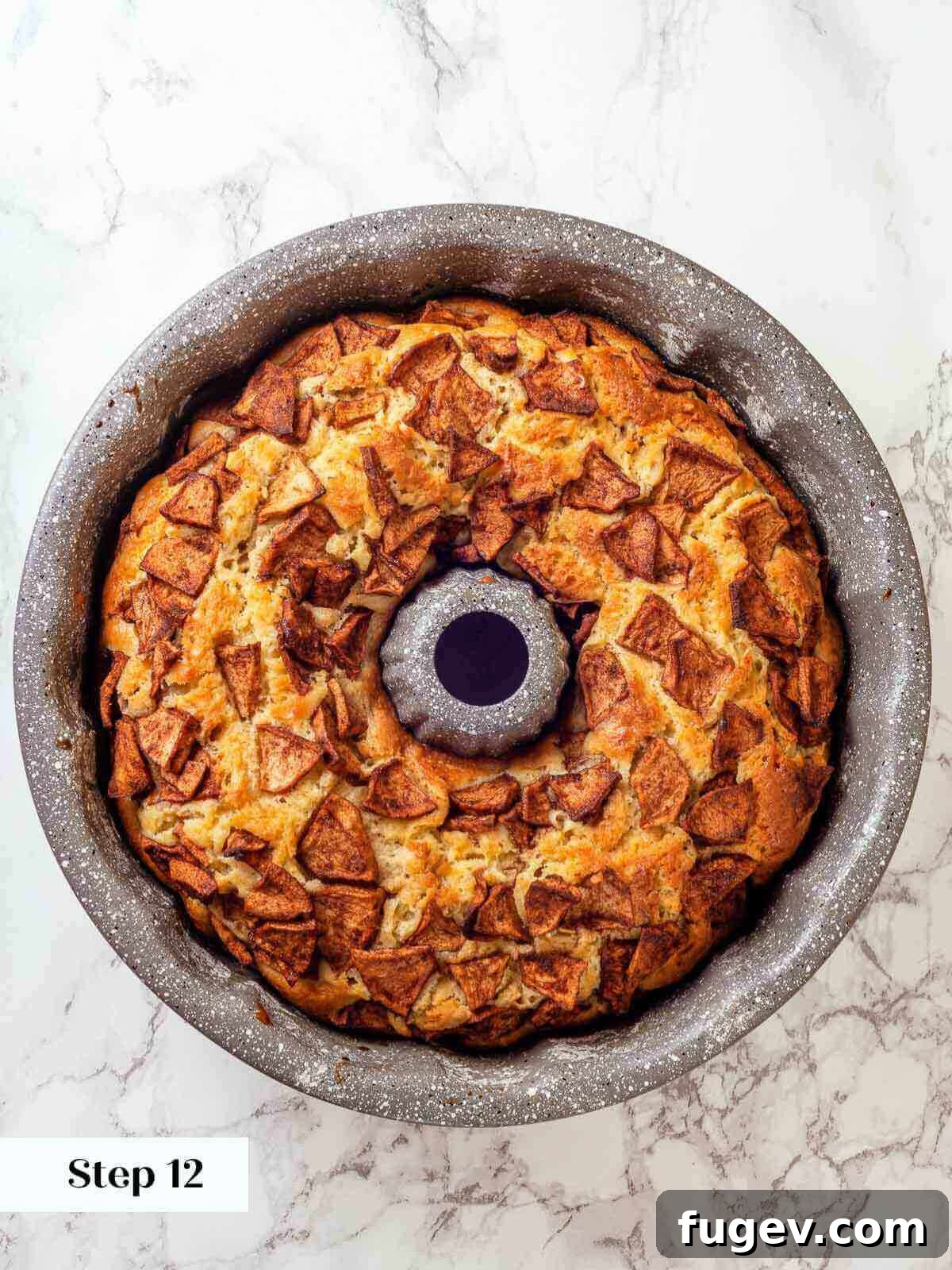 Grandma's Jewish Apple Cake 11 A perfectly golden-baked Jewish apple cake, fresh out of the oven and cooling.
