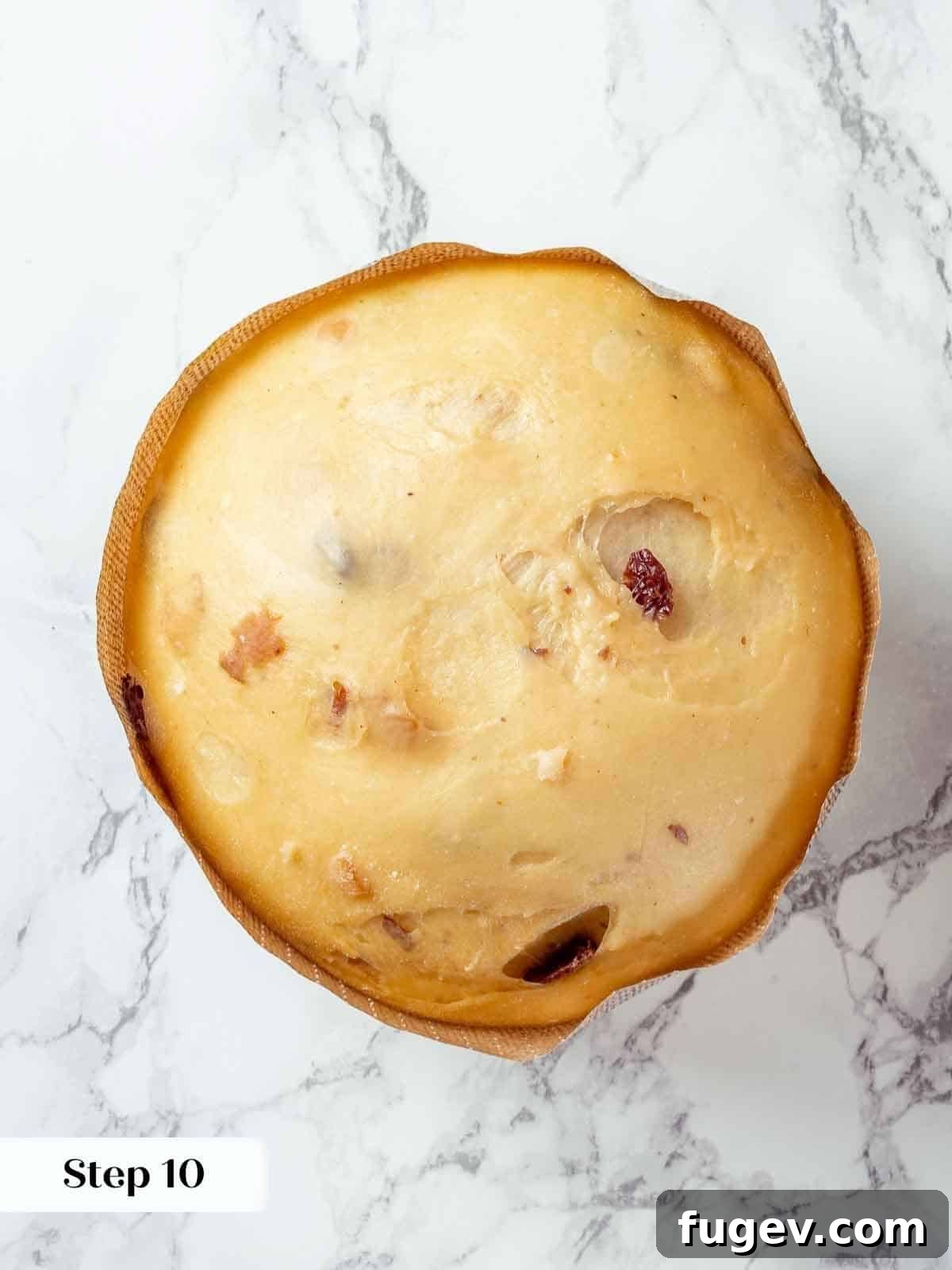 Traditional Italian Panettone 17 Panettone dough, perfectly proofed and showing a noticeable rise, nestled within its paper mold and ready for the oven.