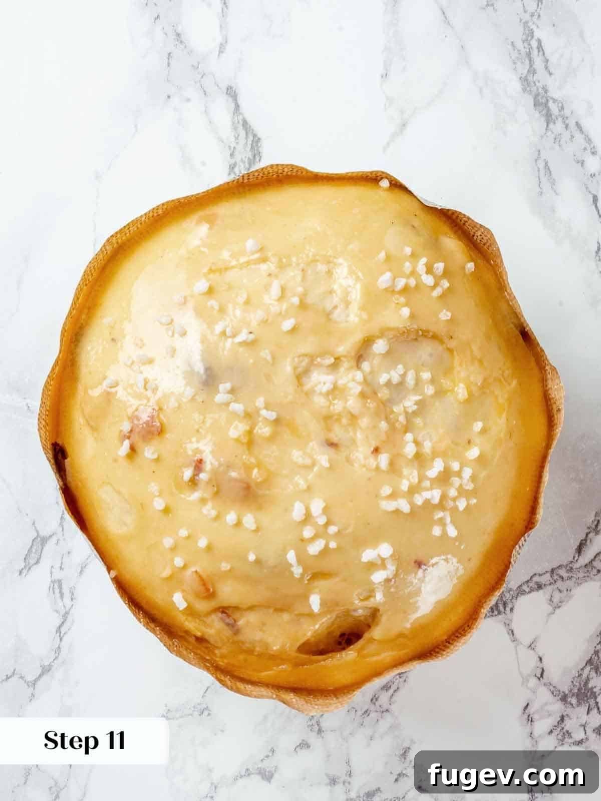 Traditional Italian Panettone 18 A close-up shot of panettone dough topped with glistening Belgian pearl sugar crystals, ready to be baked.