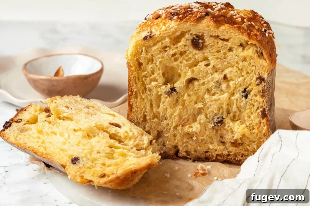 Traditional Italian Panettone 3 A perfectly sliced piece of sourdough panettone revealing its airy, fruit-studded interior, presented next to a full loaf.