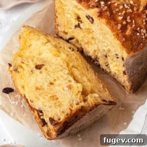 Traditional Italian Panettone 21 a delightful piece of panettone bread, showcasing its rich texture and inclusions.