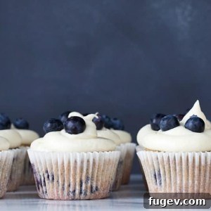 Blueberry Lemon Cupcakes