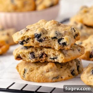 Old Fashioned Spiced Hermit Bars 19 A hermit cookie broken open to reveal its chewy, fruit-filled interior.