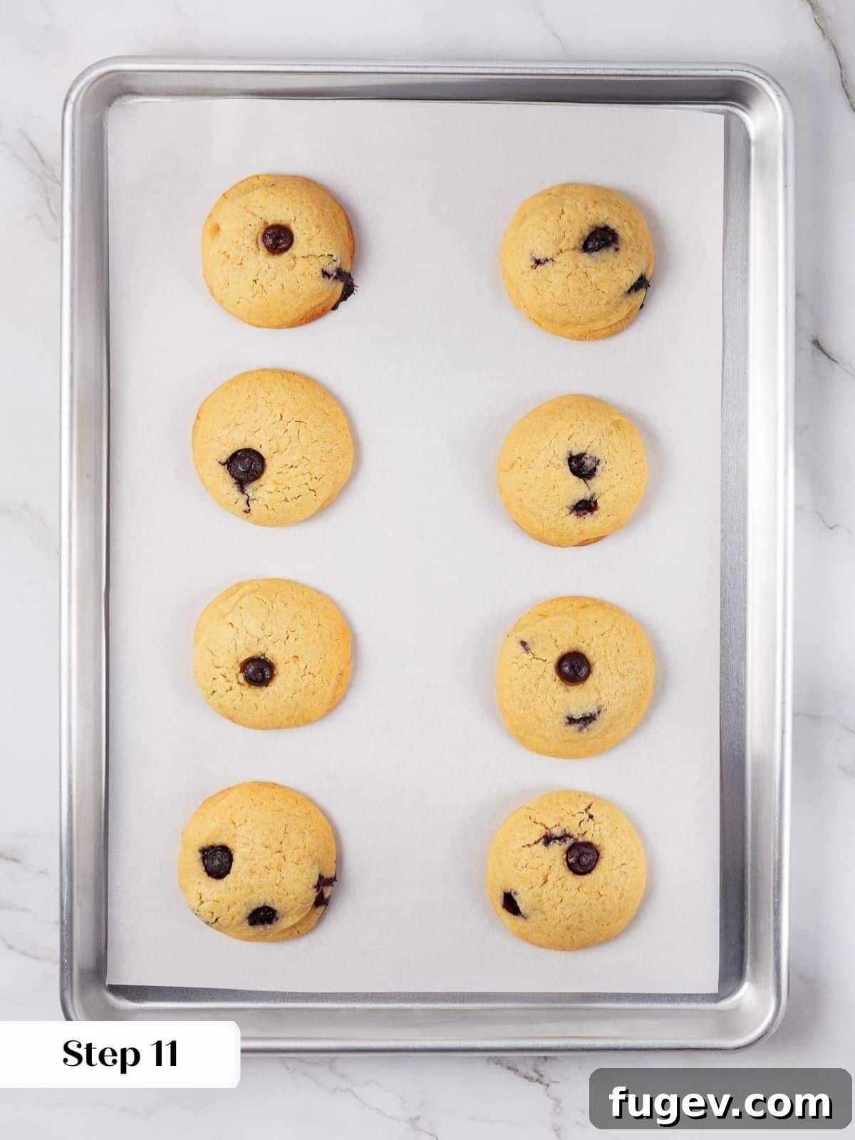 Bright Lemon Blueberry Delights 18 A tray of golden-brown lemon blueberry cookies, just removed from the oven and still warm.