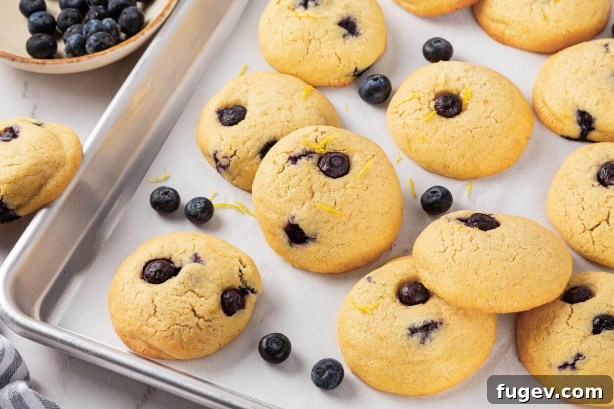 Bright Lemon Blueberry Delights 3 Thick cookies with blueberries baked into the surface, with a halved lemon in the background.