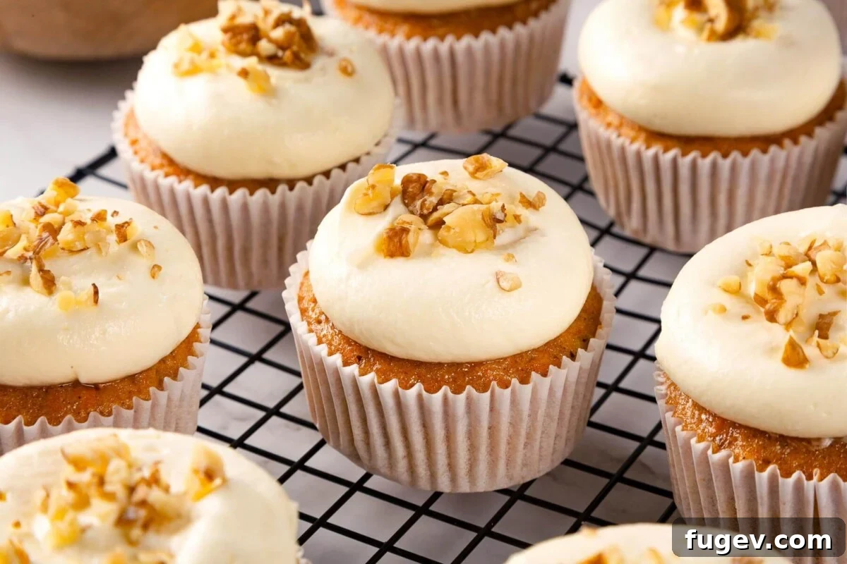Decadent Carrot Cake Cupcakes 5 Carrot cake cupcakes ready to be frosted.