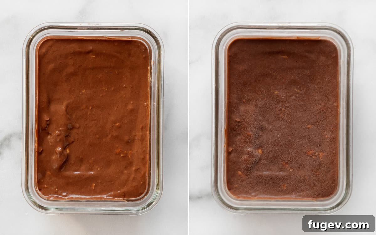Salted Peanut Chocolate Ice Cream Bliss 7 Nice cream in a container, shown before and after freezing.