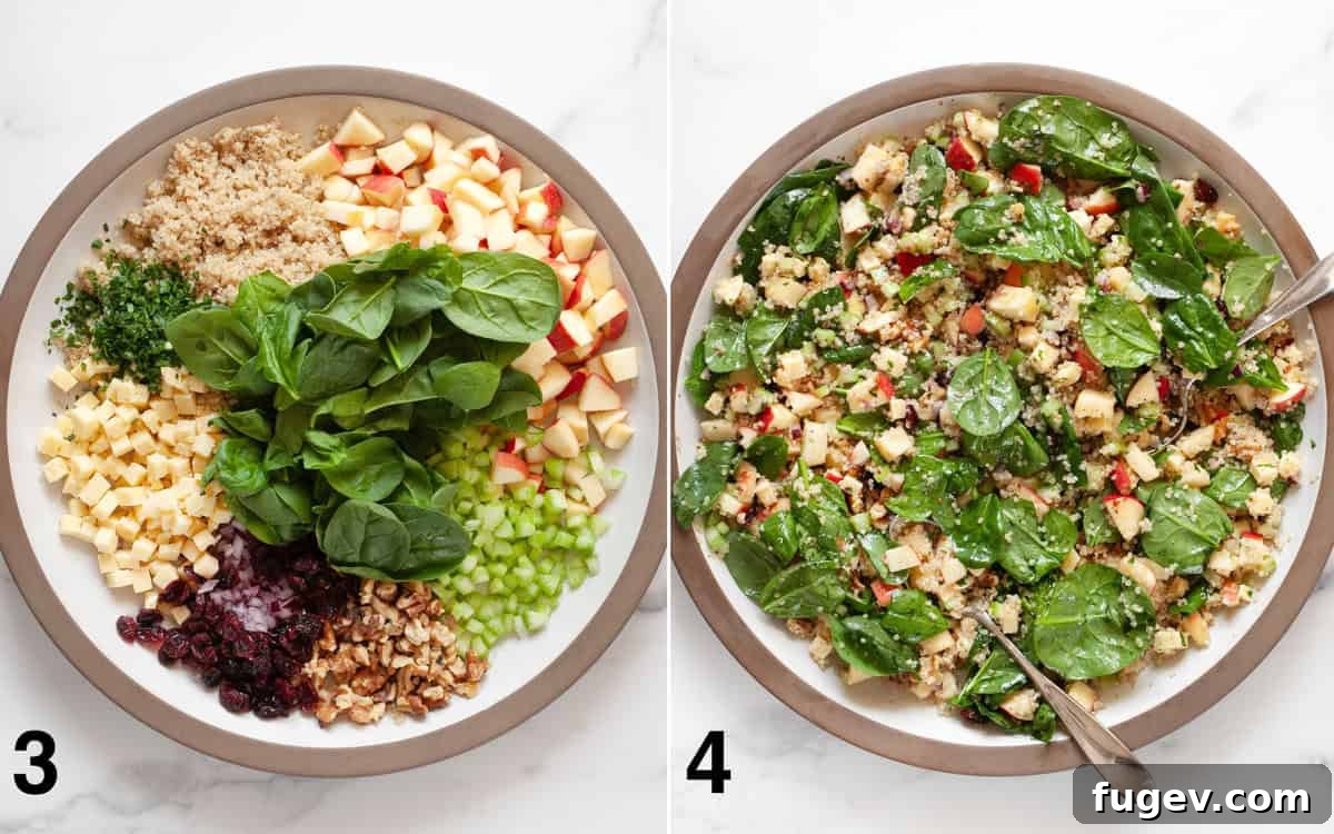 Vibrant Quinoa Salad with Apples Walnuts Cranberries and Fresh Spinach 5 Various salad ingredients including quinoa, apples, and spinach combined in a large bowl, followed by a second image showing the salad tossed with vinaigrette, ready to be served.
