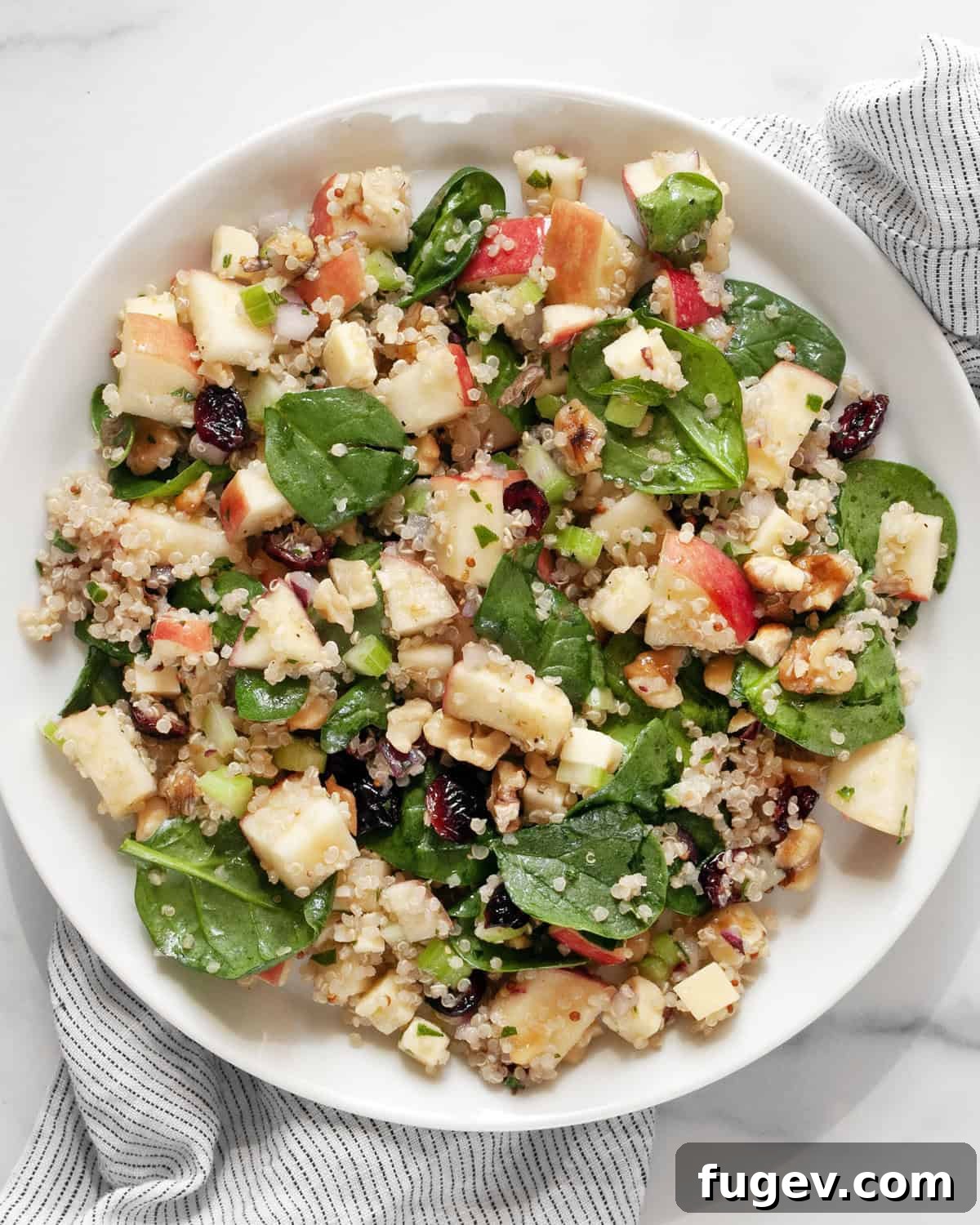 Vibrant Quinoa Salad with Apples Walnuts Cranberries and Fresh Spinach 6 A beautifully arranged Apple Walnut Quinoa Salad on a pristine white plate, showcasing its vibrant ingredients and inviting textures.