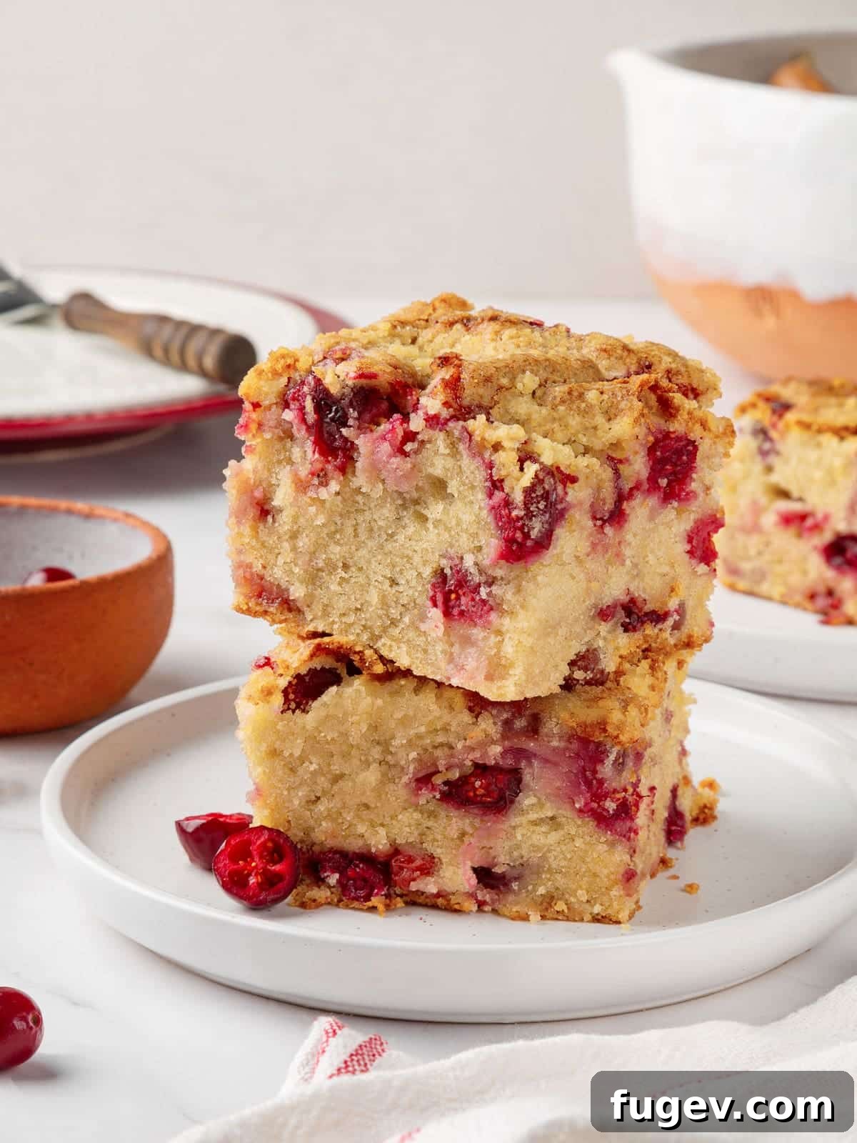 Ultimate Cranberry Cake 2 Two slices of fluffy cranberry cake with streusel topping, showcasing the vibrant tart berries and soft, tender crumb.