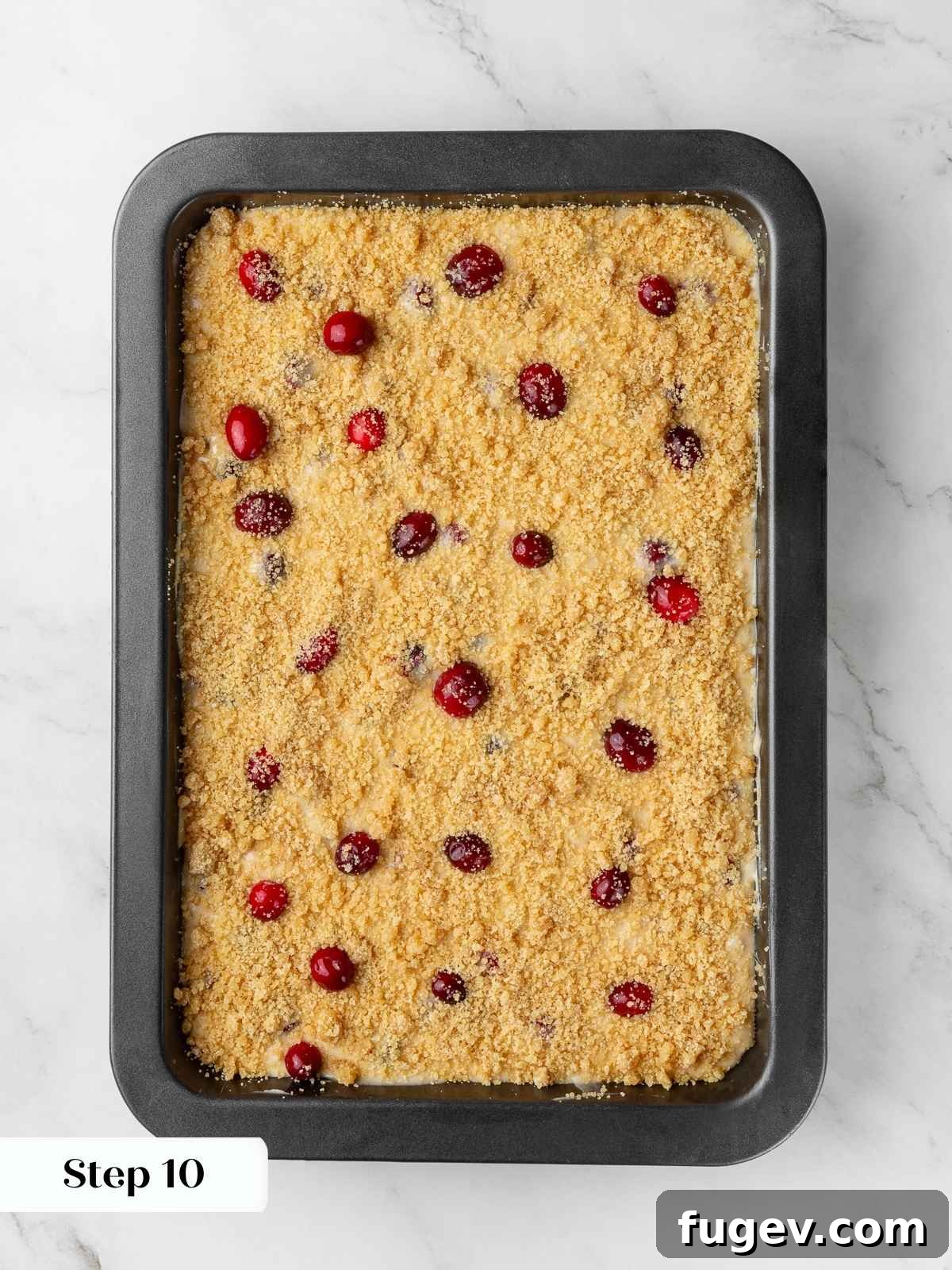 Ultimate Cranberry Cake 9 Unbaked cranberry cake batter in a pan, topped with brown sugar streusel and a few bright red cranberries, ready for the oven.