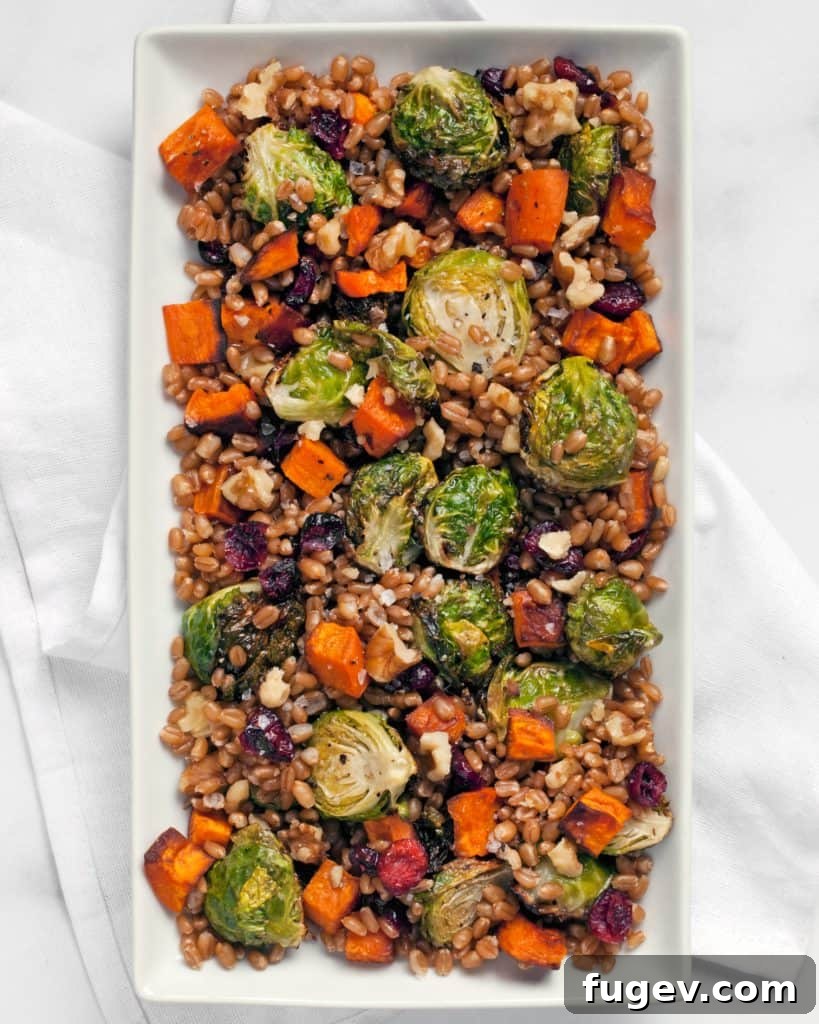 Harvest Wheat Berry Bowl with Roasted Sweet Potatoes and Brussels Sprouts 3 Close-up of Wheat Berry Salad with Brussels Sprouts, Sweet Potatoes, Walnuts, and Cranberries